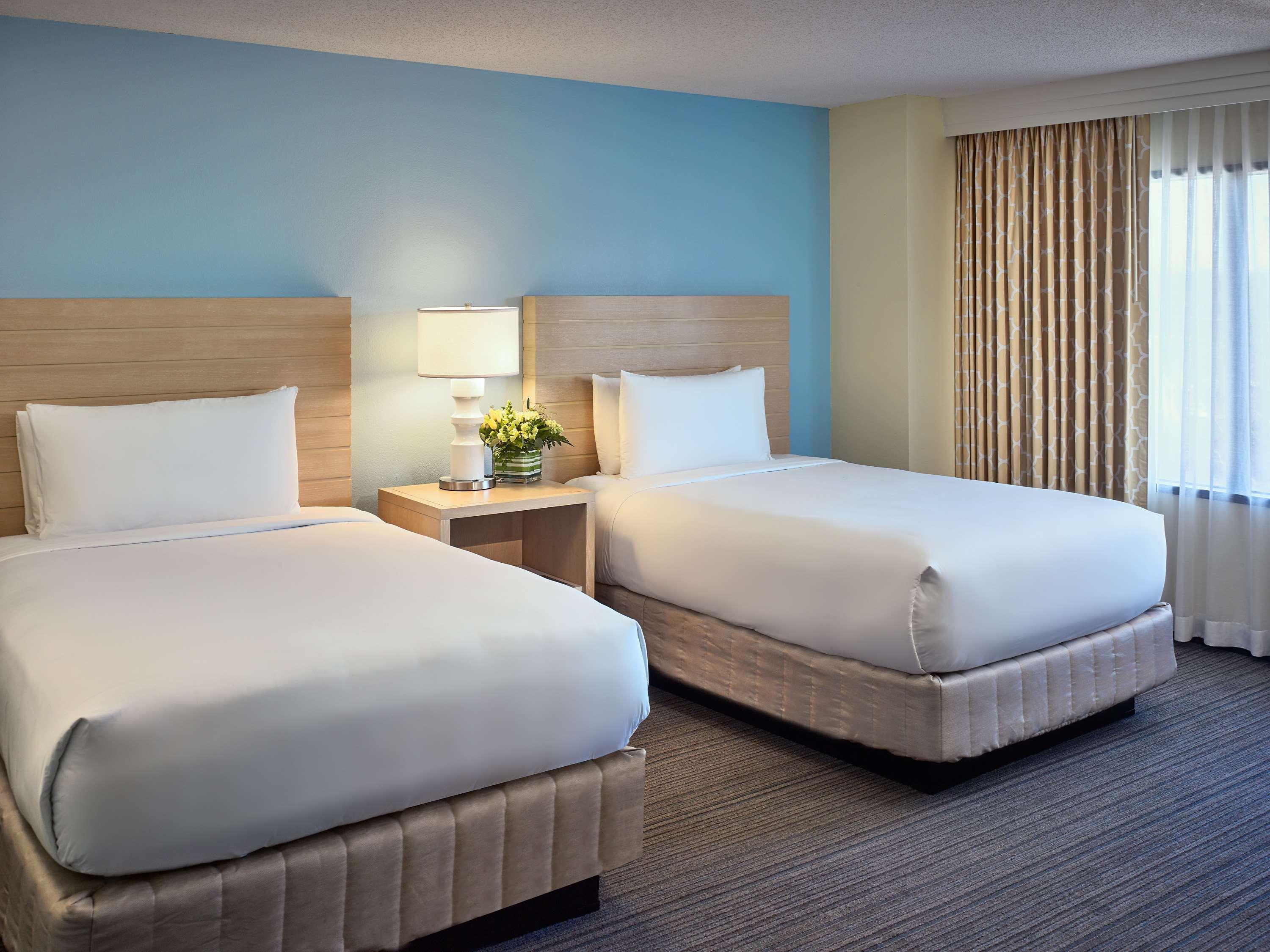 Studio Suite - Two King Beds image