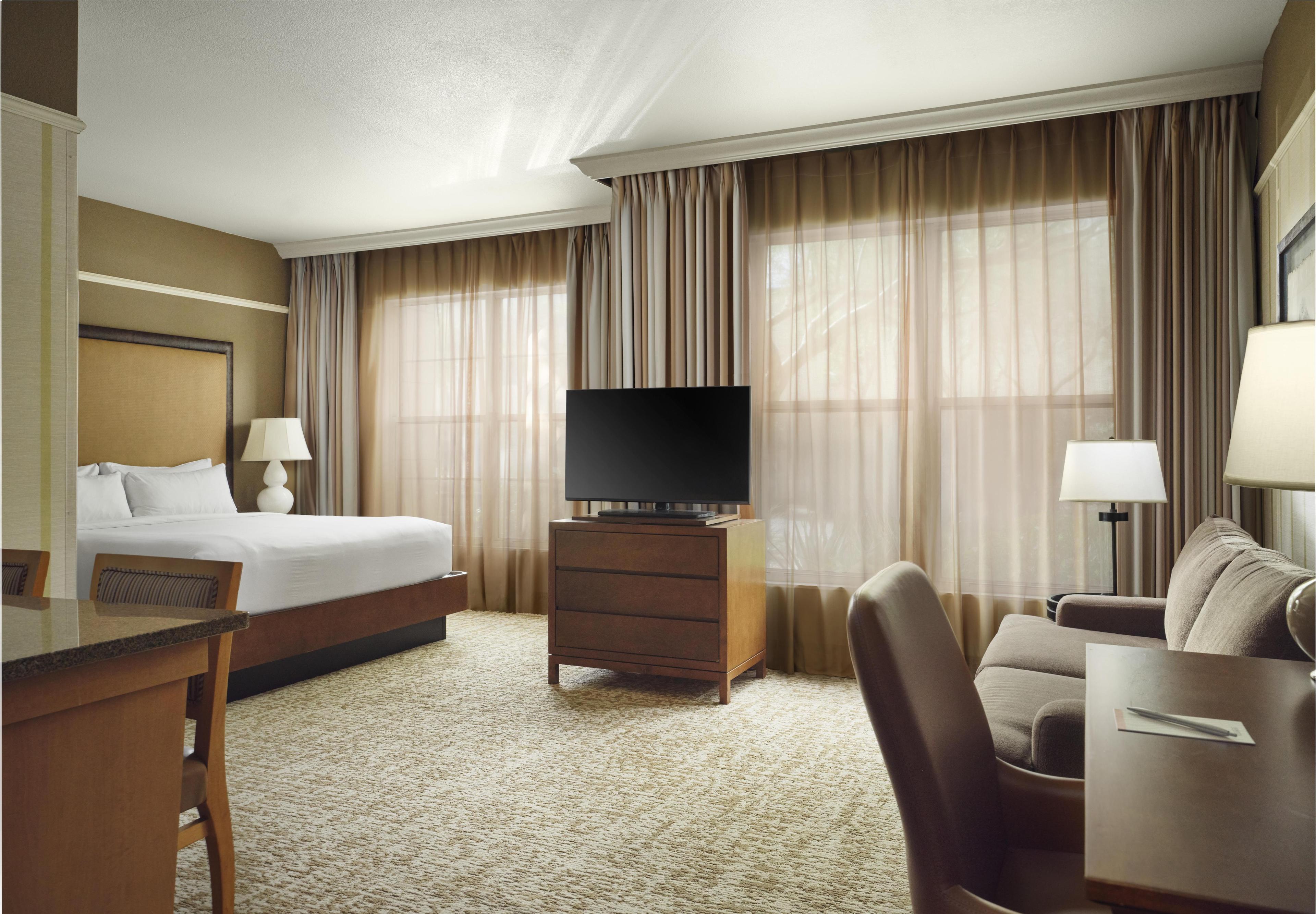Studio Suite - King image