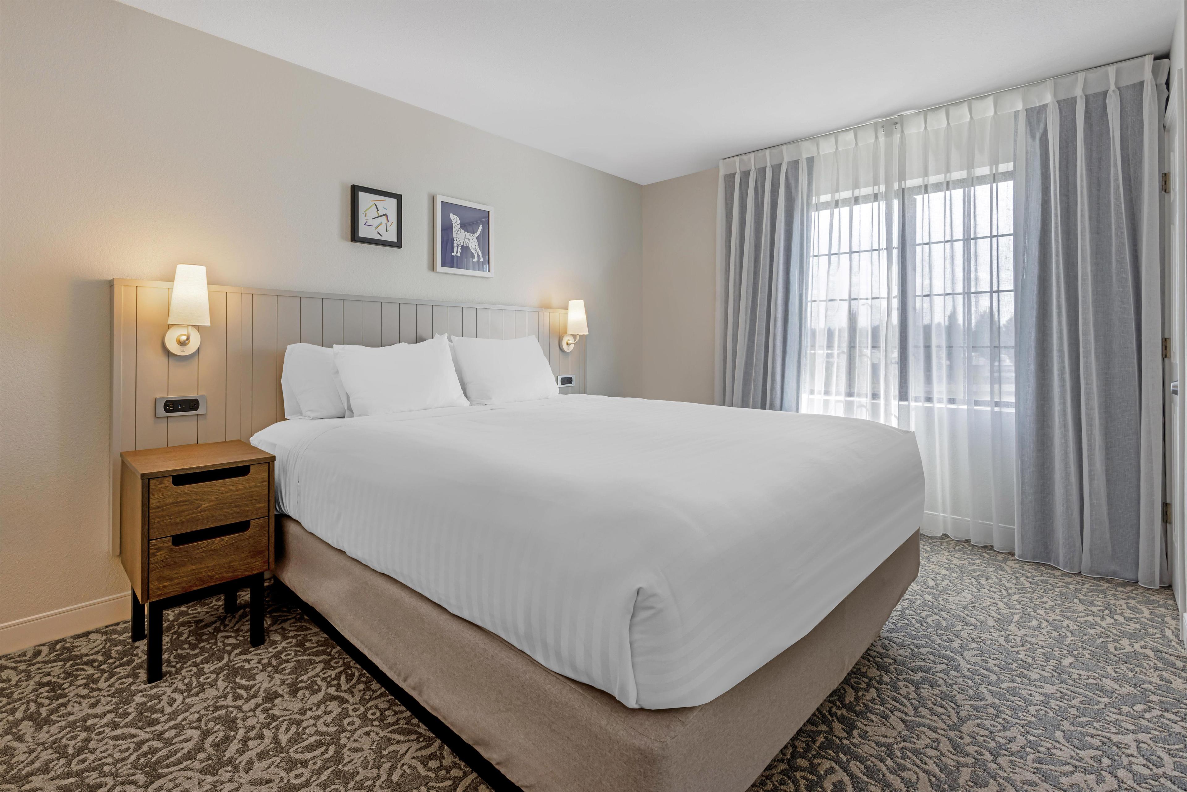 One Bedroom Suite - King image