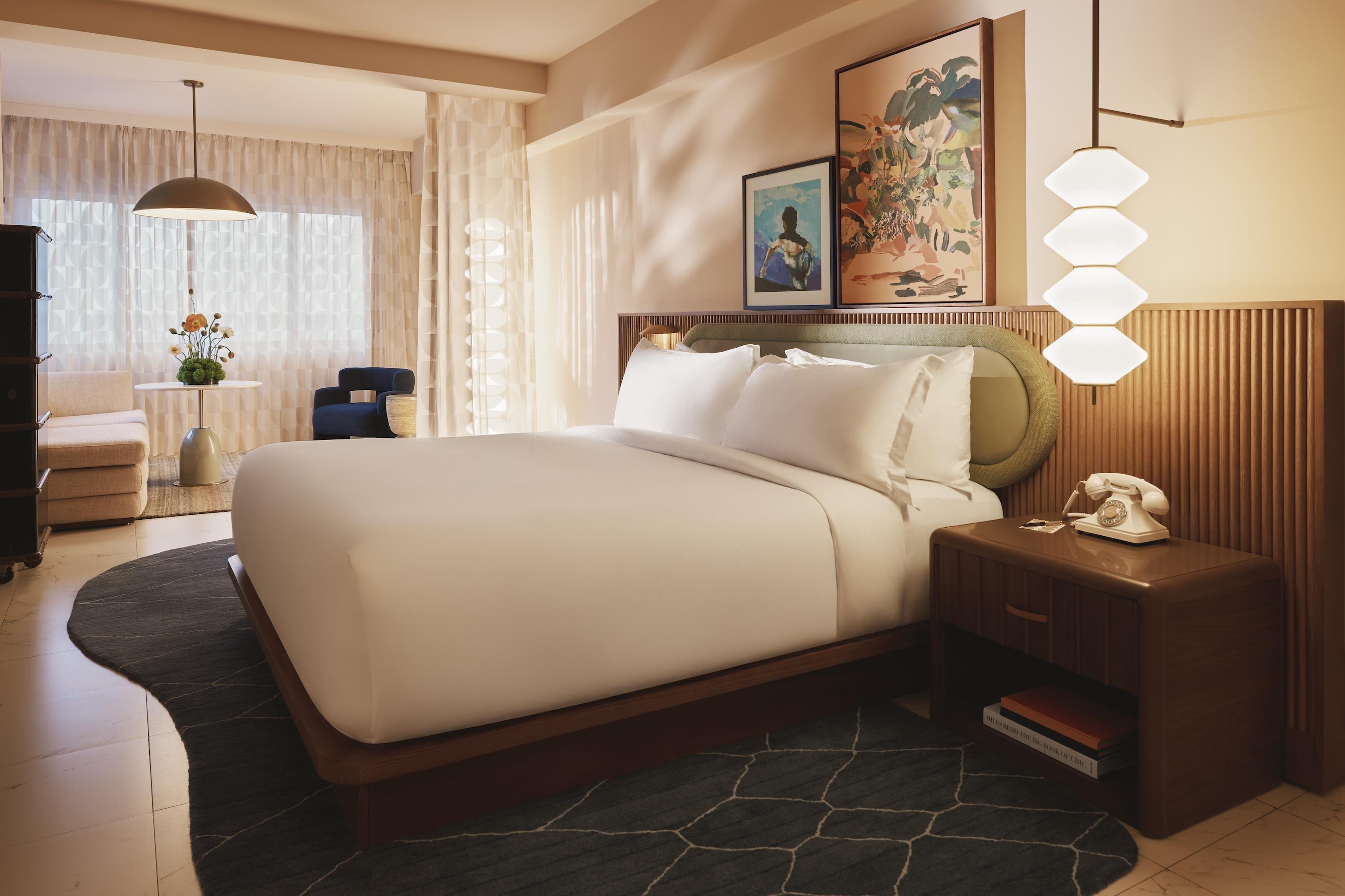 Accessible Delightful King Studio Suite image